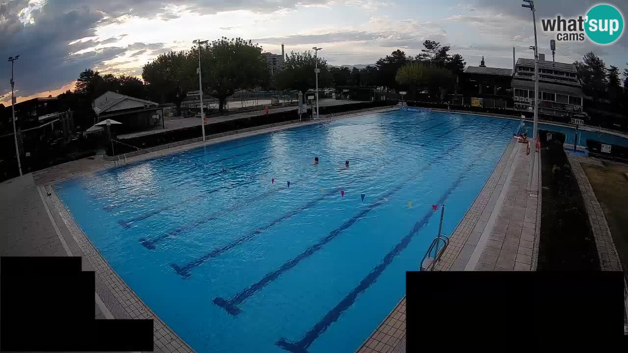 Webcam Celje – Main swimming pool
