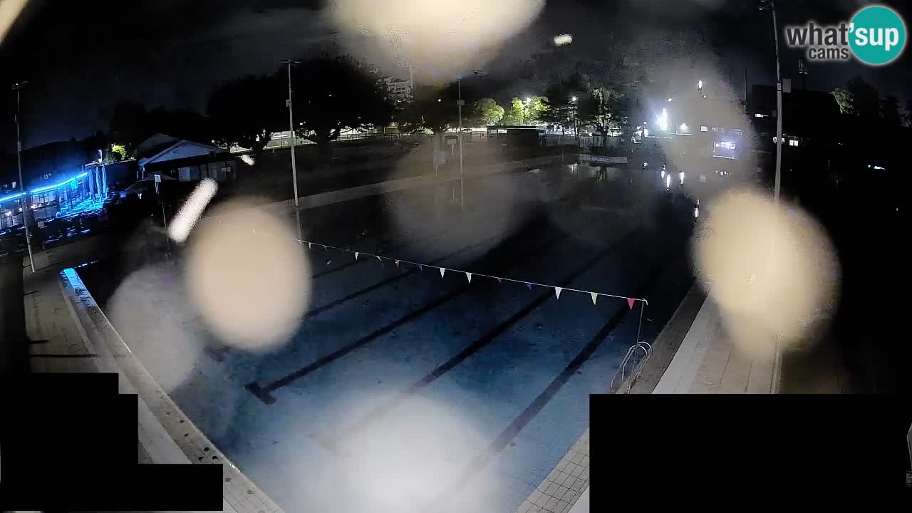 Webcam Celje – Main swimming pool