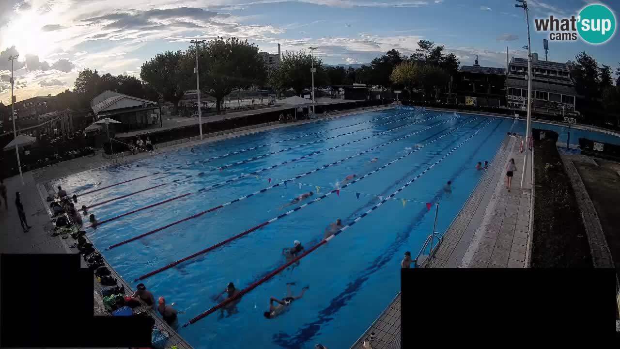 Webcam Celje – Main swimming pool
