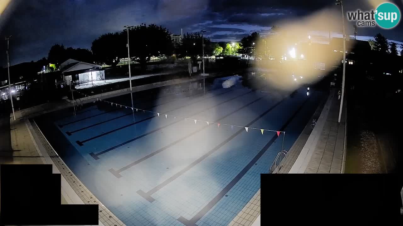 Webcam Celje – Main swimming pool