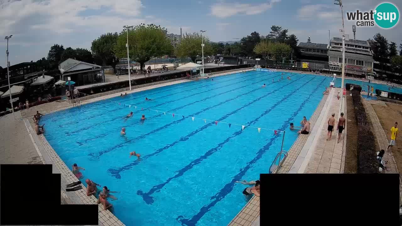 Webcam Celje – Main swimming pool