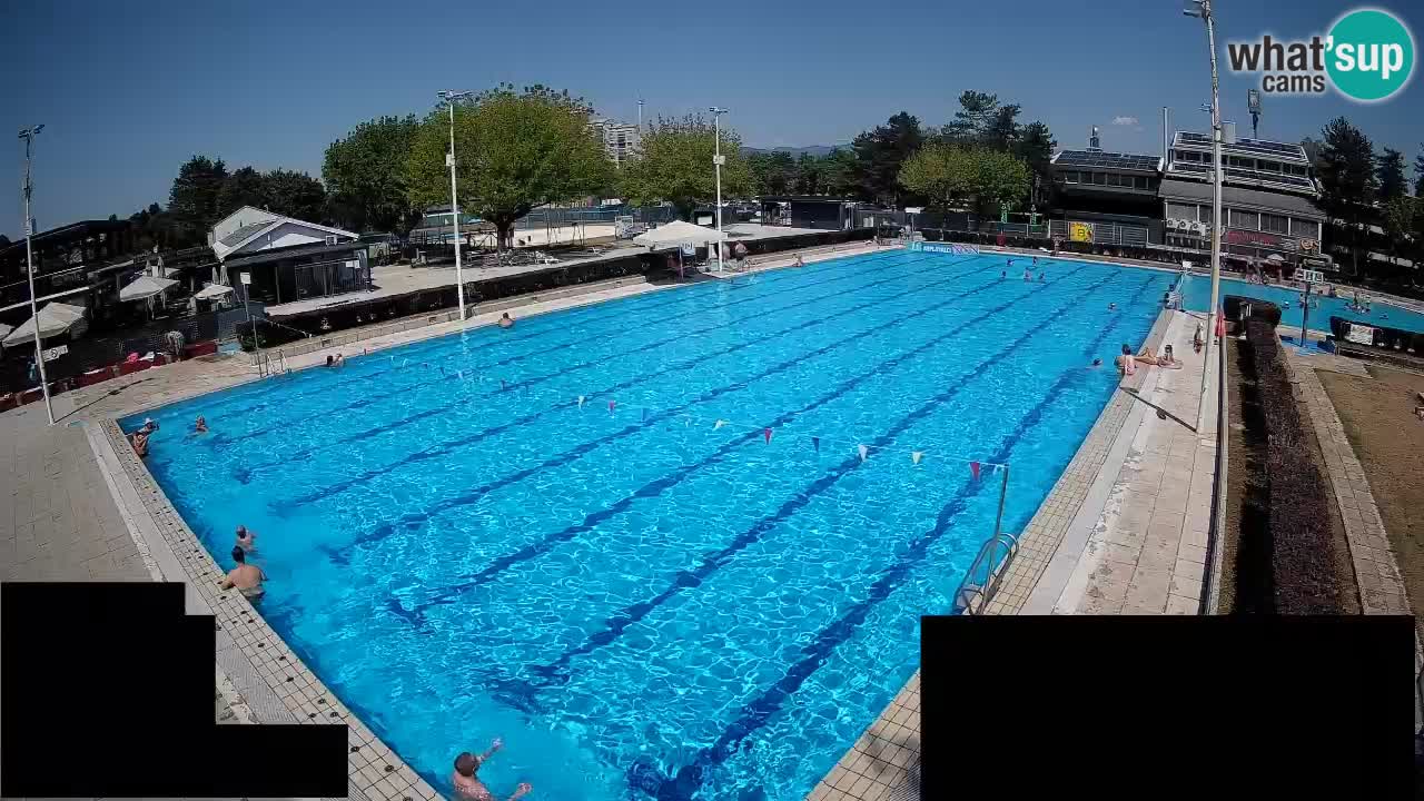 Webcam Celje – Main swimming pool