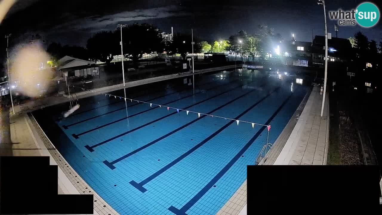Webcam Celje – Main swimming pool