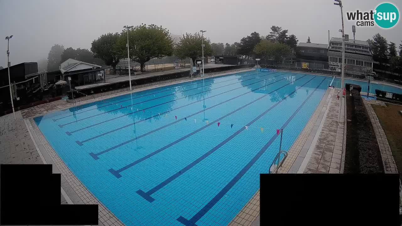 Webcam Celje – Main swimming pool