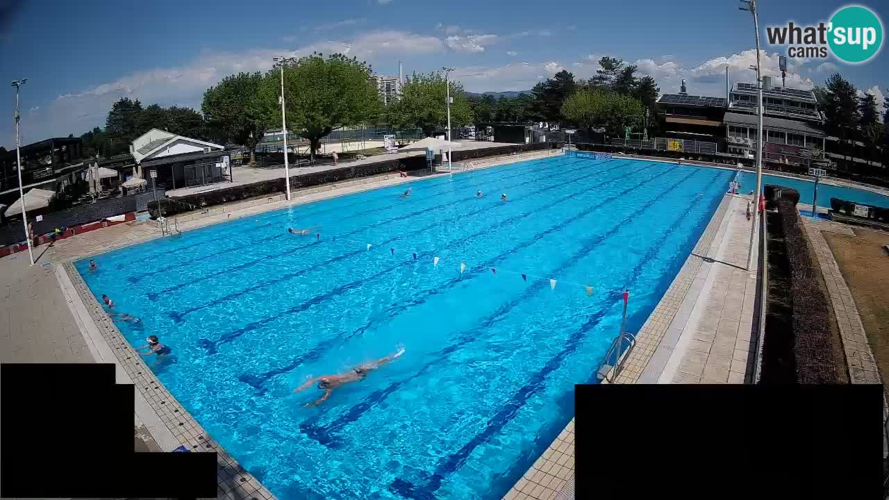 Webcam Celje – Main swimming pool