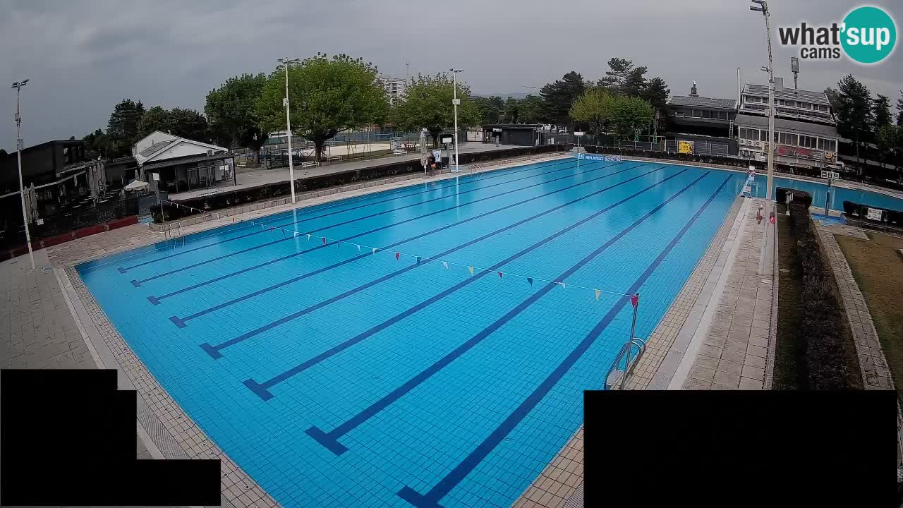 Webcam Celje – Main swimming pool