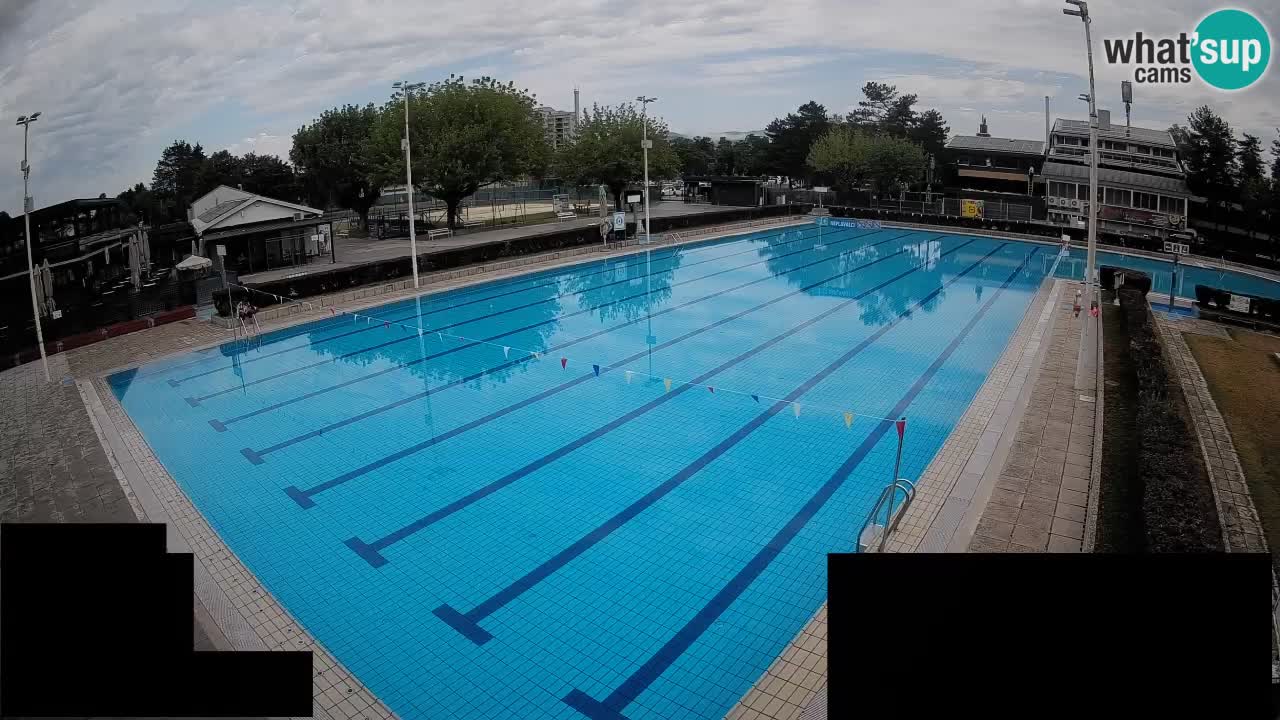 Webcam Celje – Main swimming pool
