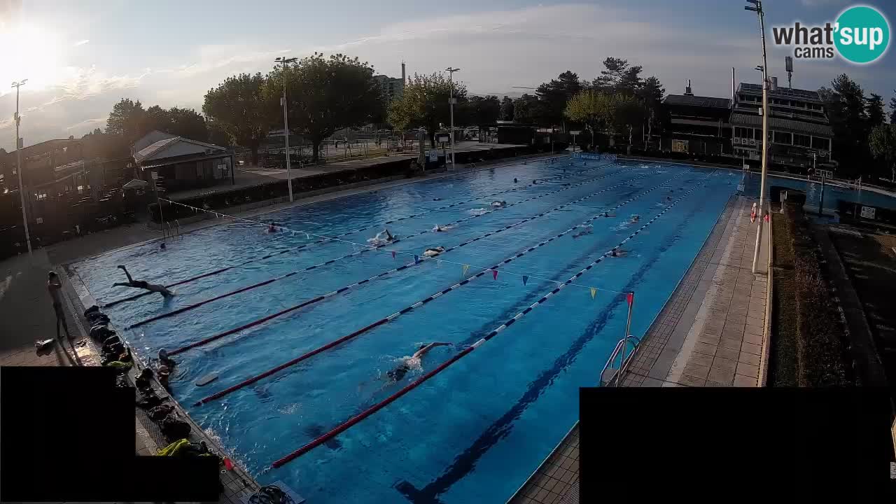 Cámara web Celje – Piscina principal
