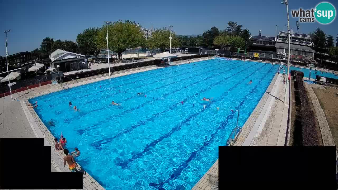 Webcam Celje – Main swimming pool
