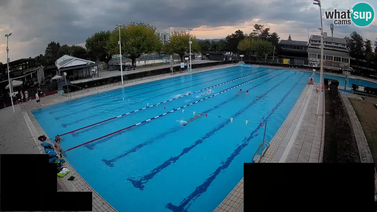 Cámara web Celje – Piscina principal