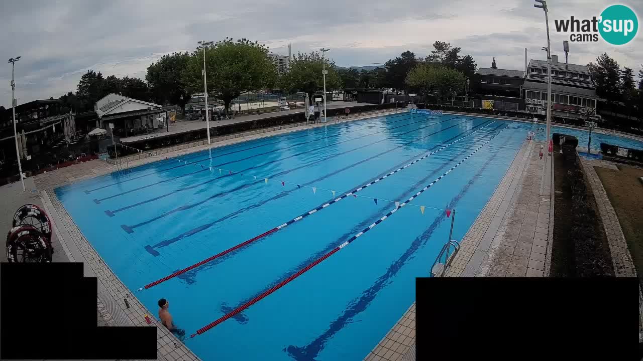 Webcam Celje – Main swimming pool