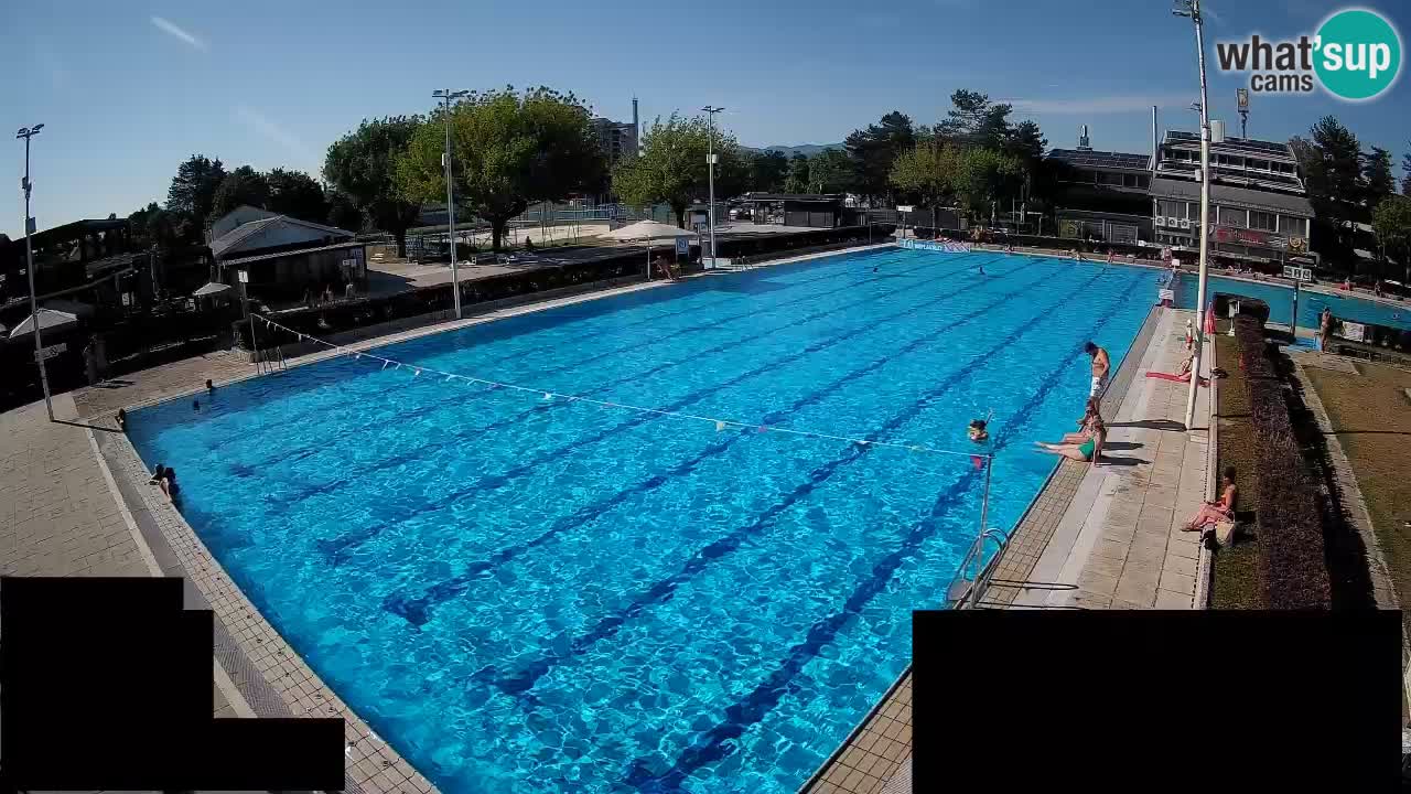 Webcam Celje – Main swimming pool