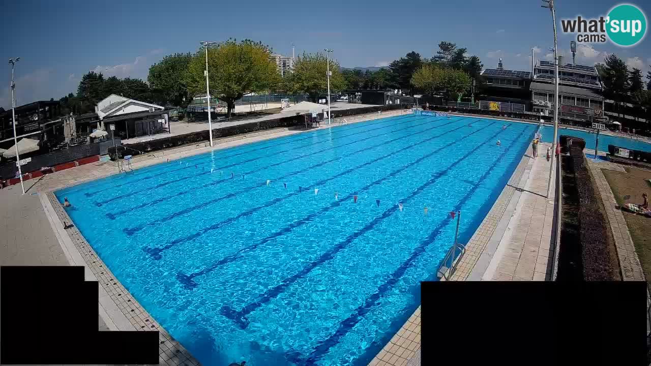 Webcam Celje – Main swimming pool