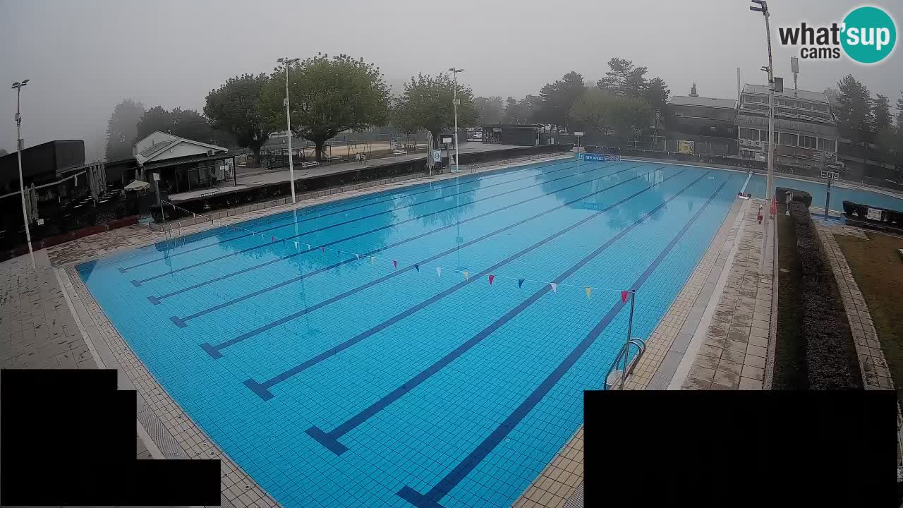 Webcam Celje – Main swimming pool