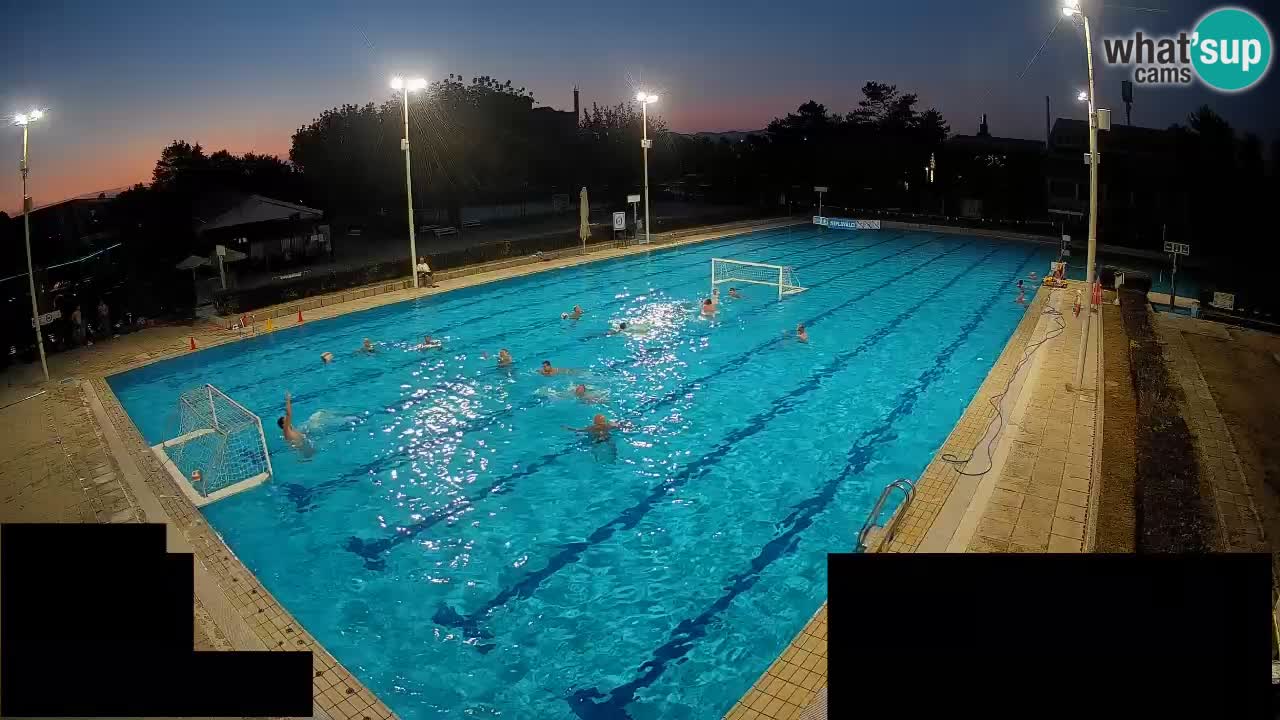 Webcam Celje – Main swimming pool