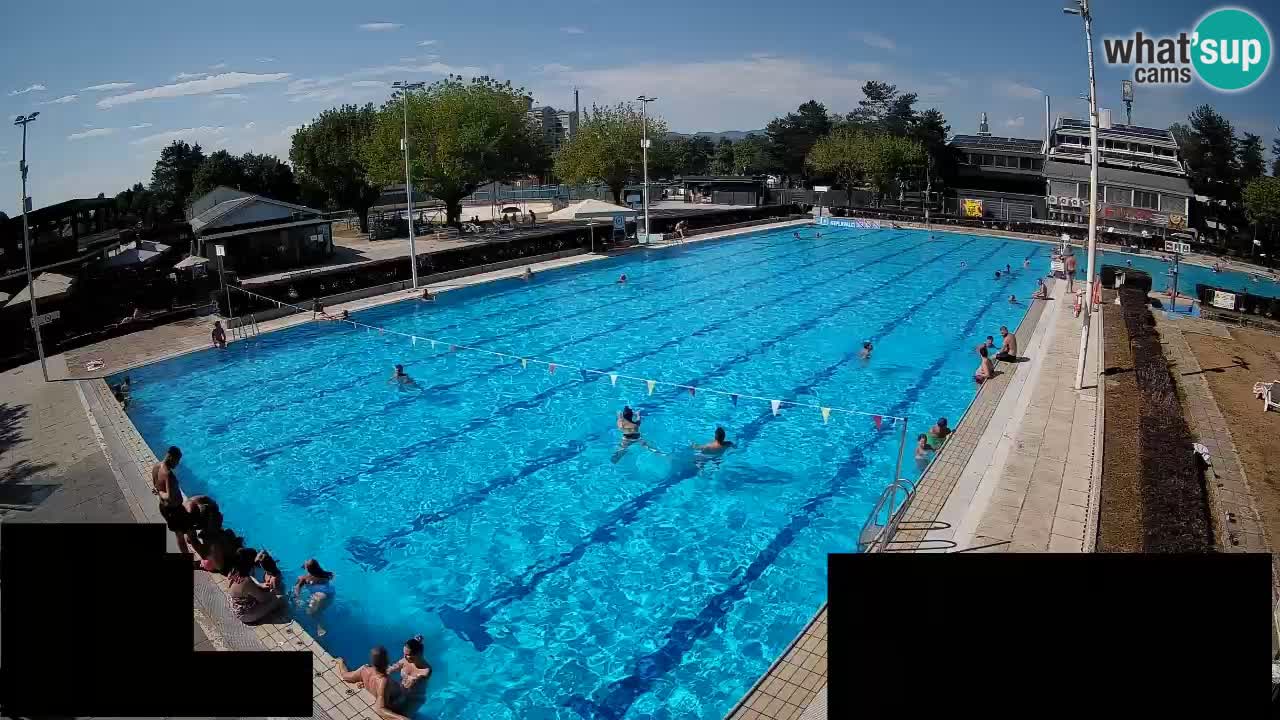 Webcam Celje – Main swimming pool