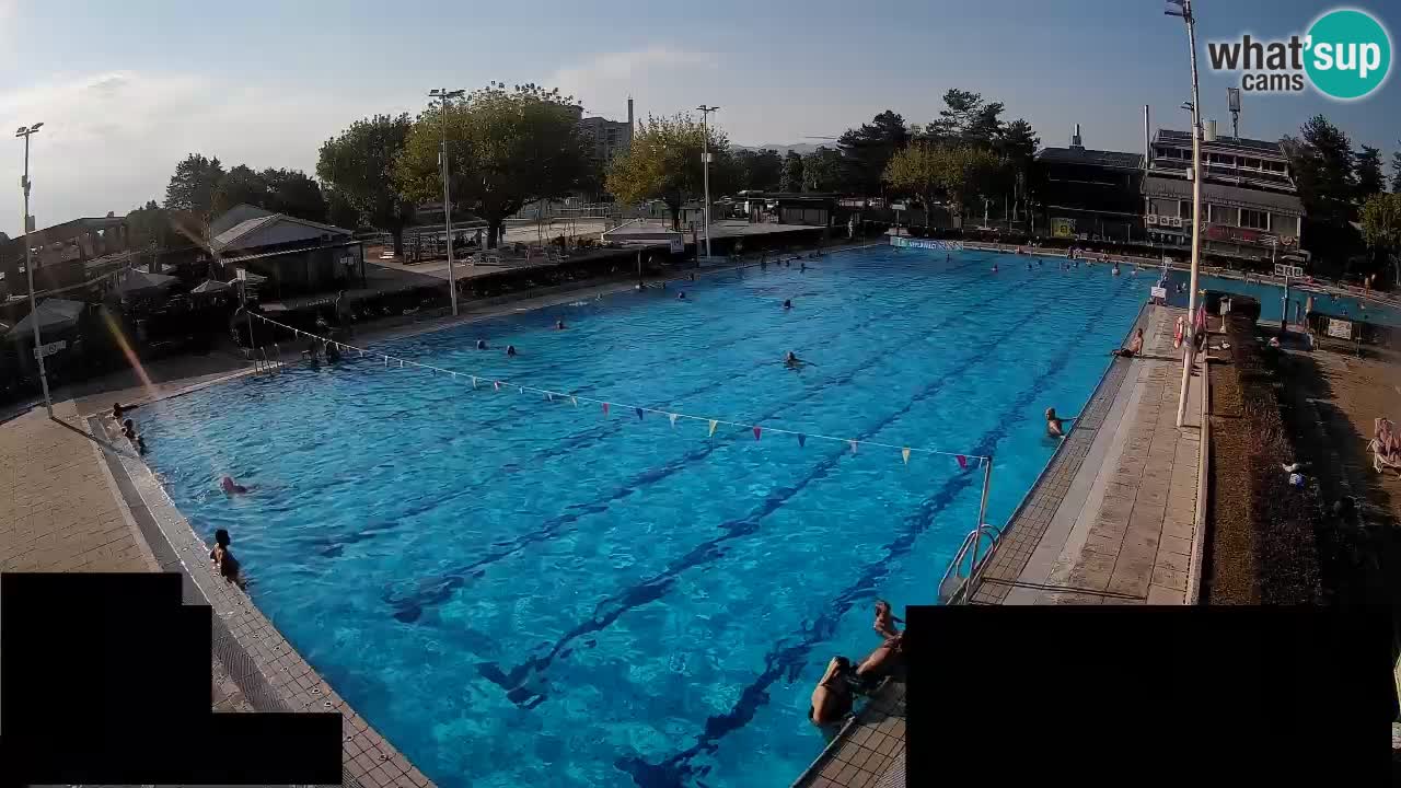 Webcam Celje – Main swimming pool