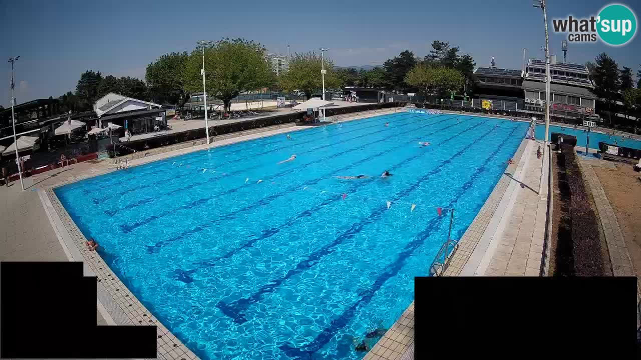 Webcam Celje – Main swimming pool