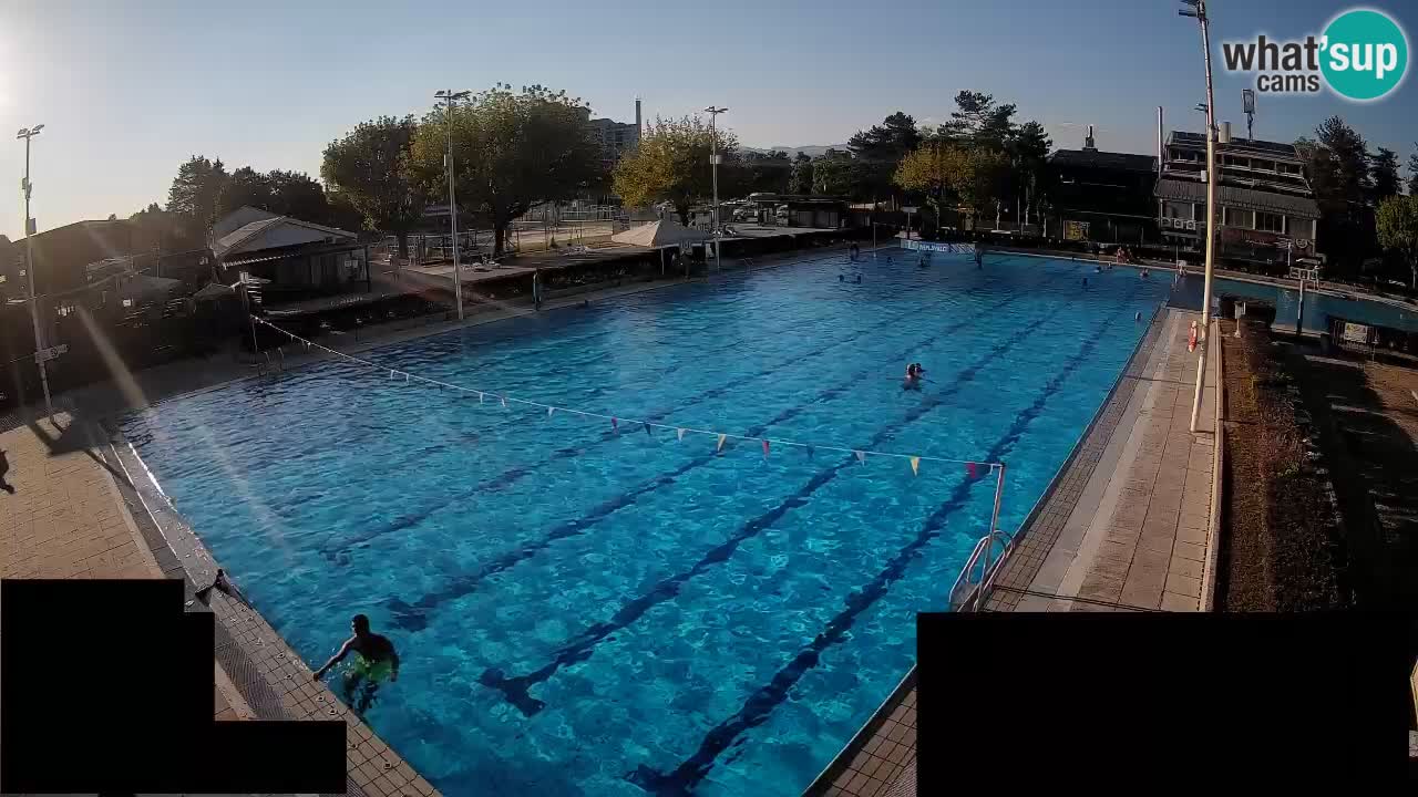 Webcam Celje – Main swimming pool