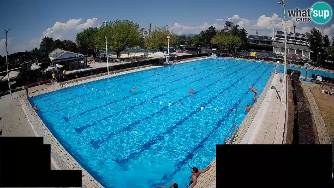 Webcam Celje – Main swimming pool