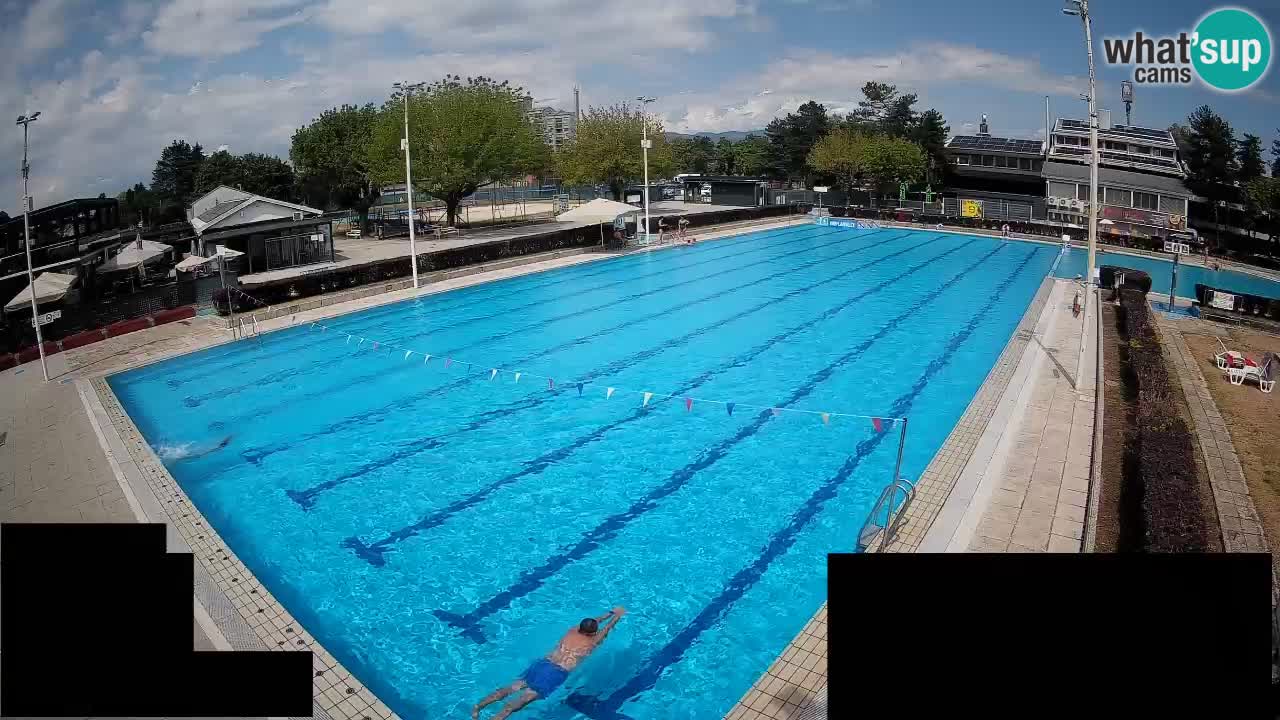 Webcam Celje – Main swimming pool