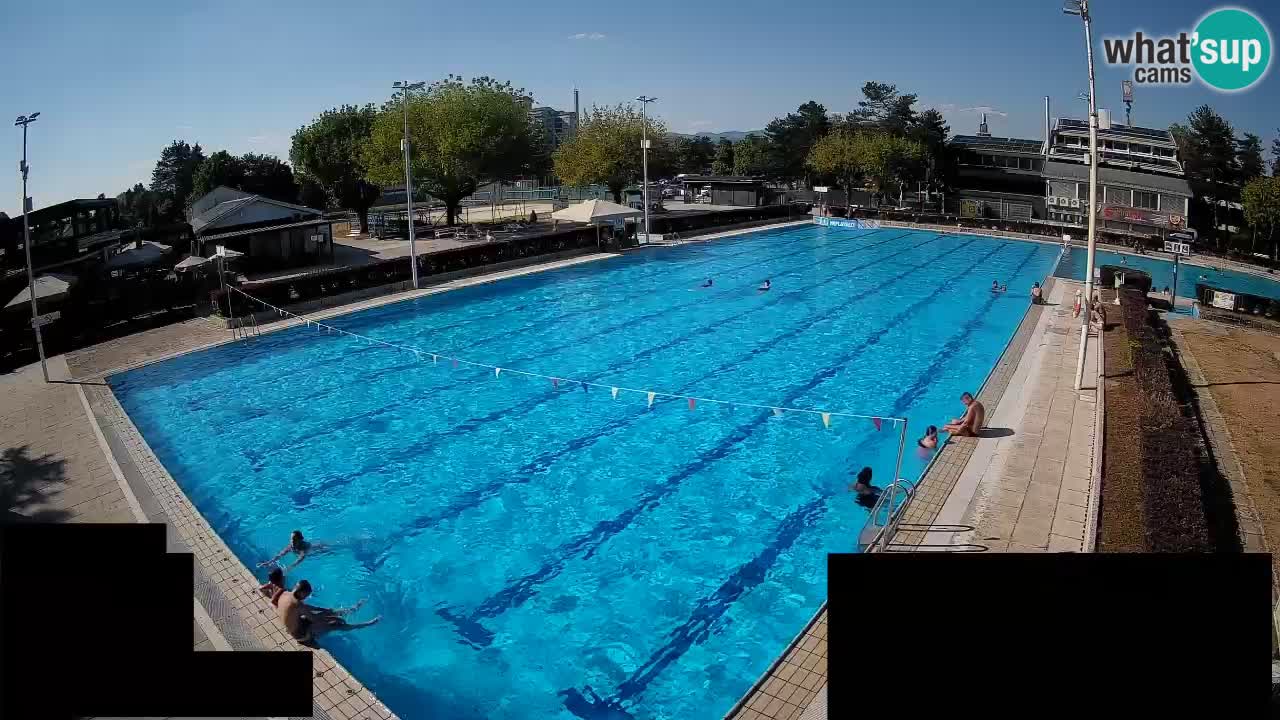 Webcam Celje – Main swimming pool