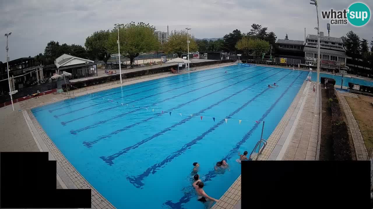 Webcam Celje – Main swimming pool