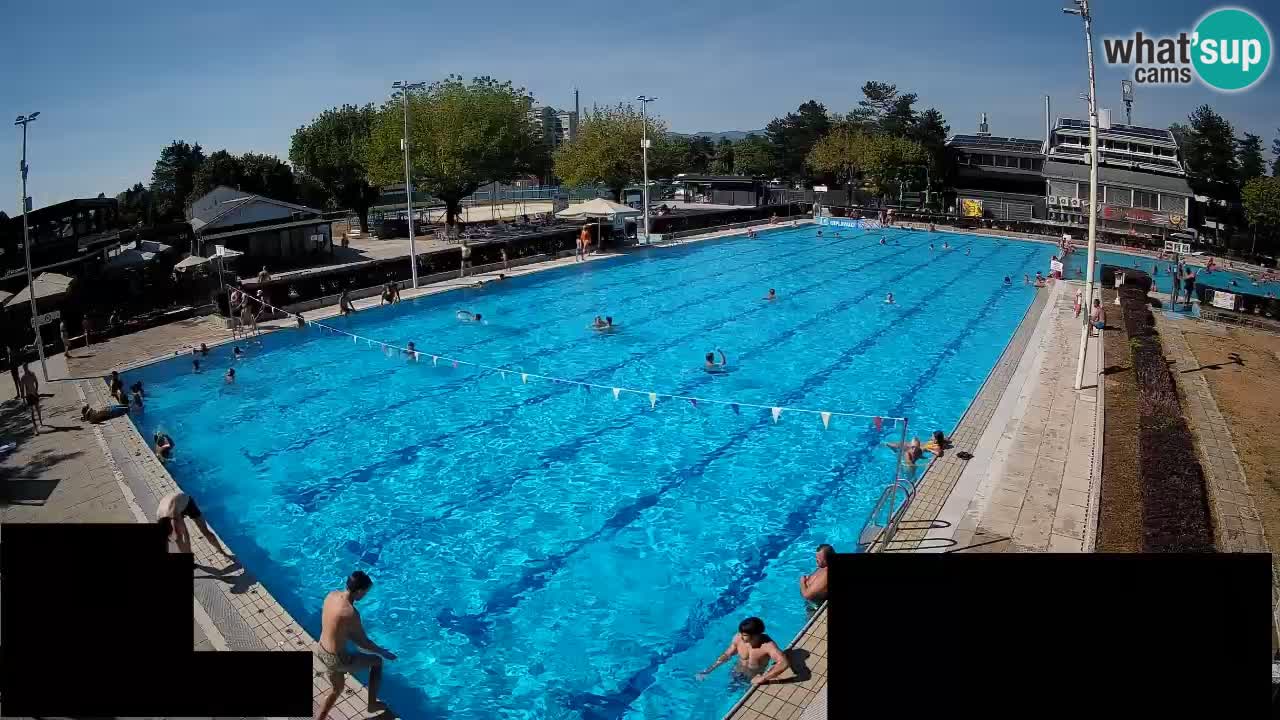 Webcam Celje – Main swimming pool