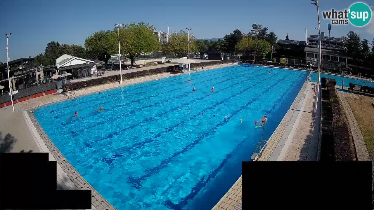 Webcam Celje – Main swimming pool