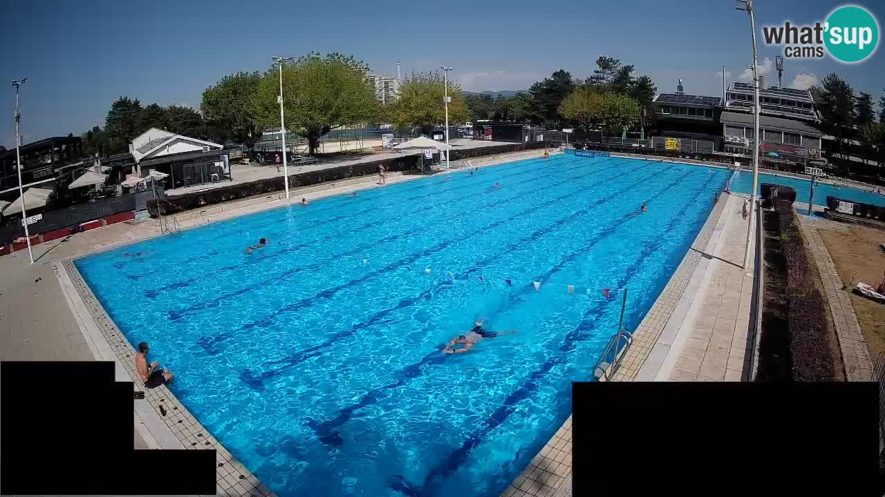 Webcam Celje – Main swimming pool
