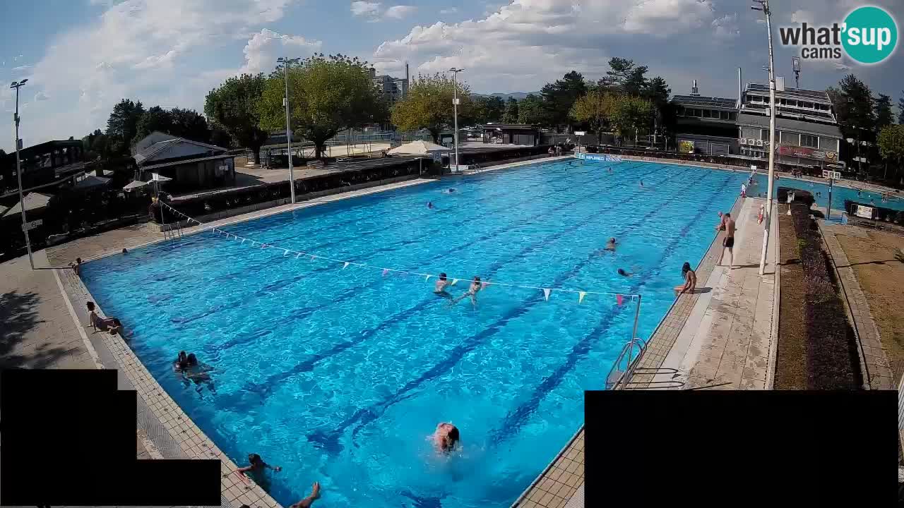 Webcam Celje – Main swimming pool