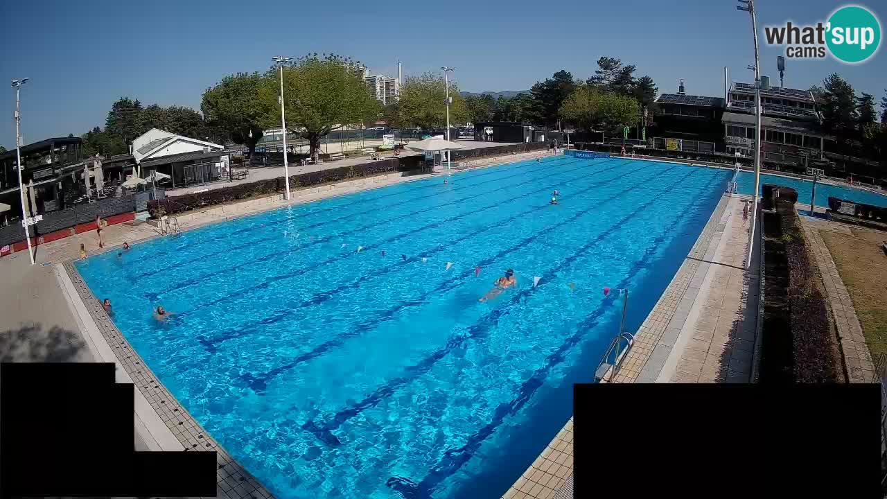 Webcam Celje – Main swimming pool