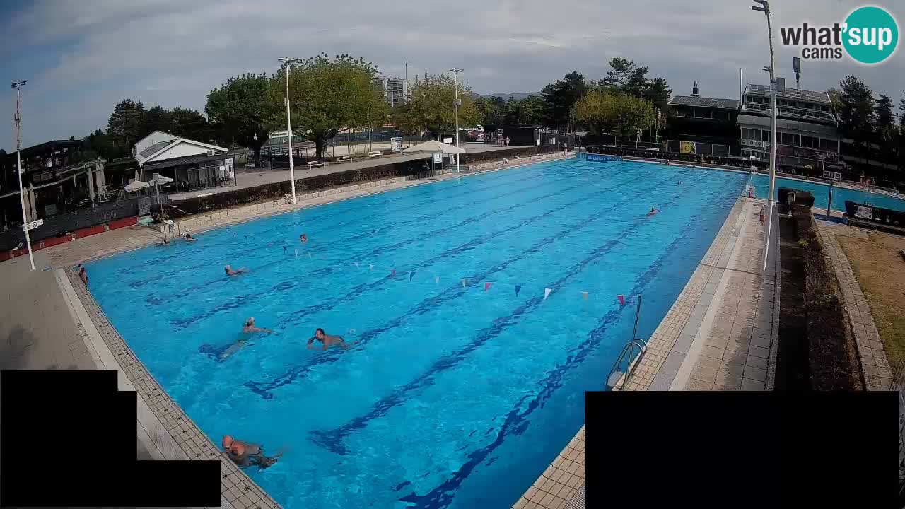 Webcam Celje – Main swimming pool