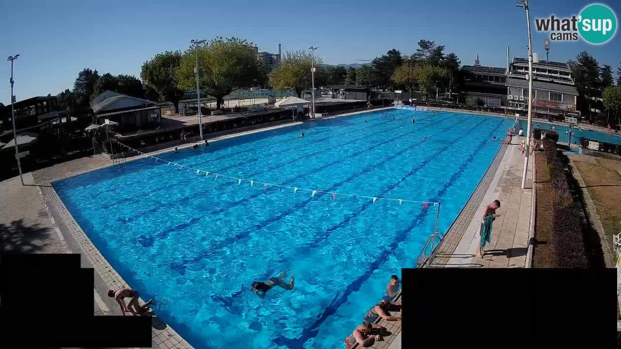 Webcam Celje – Main swimming pool