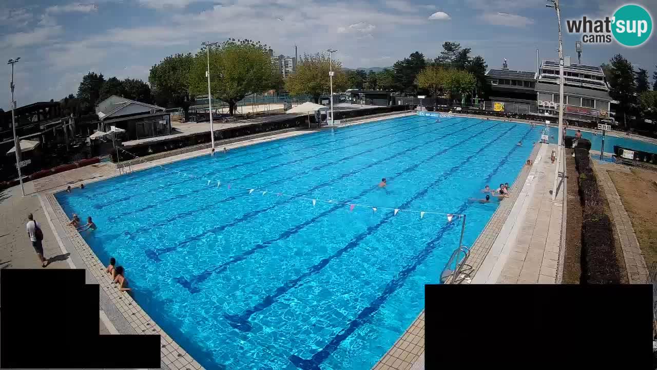 Webcam Celje – Main swimming pool