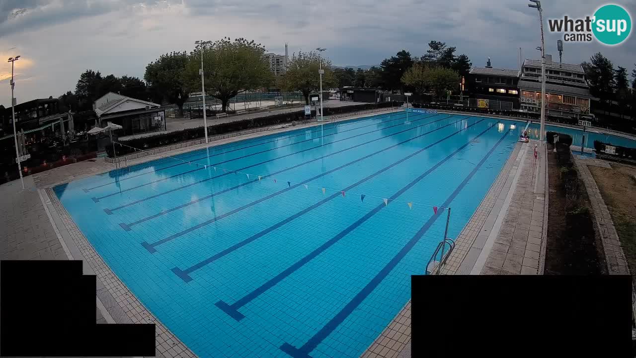 Webcam Celje – Main swimming pool