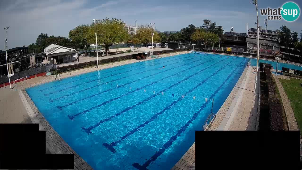 Webcam Celje – Main swimming pool