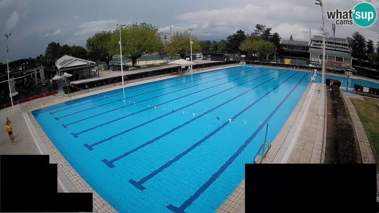 Webcam Celje – Main swimming pool