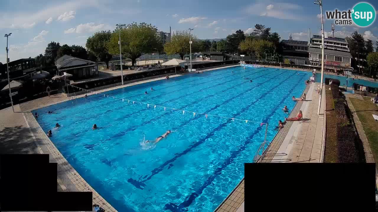 Webcam Celje – Main swimming pool