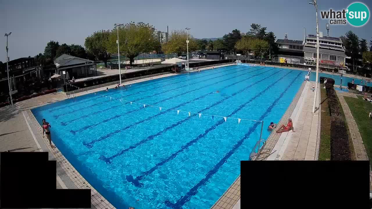 Webcam Celje – Main swimming pool
