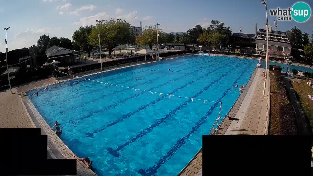 Webcam Celje – Main swimming pool