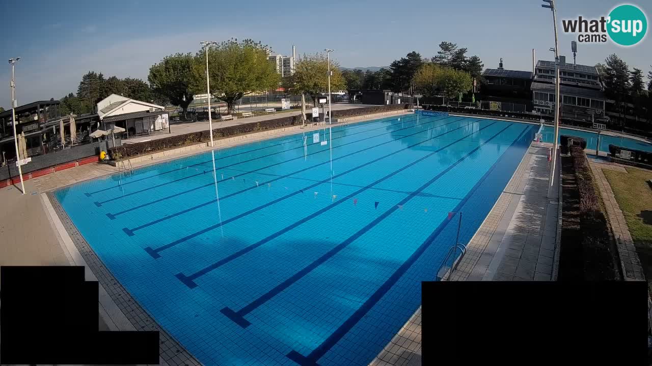 Webcam Celje – Main swimming pool