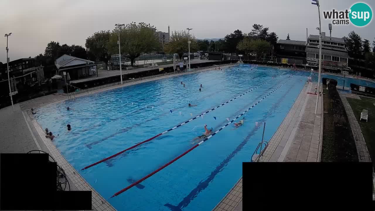 Webcam Celje – Main swimming pool