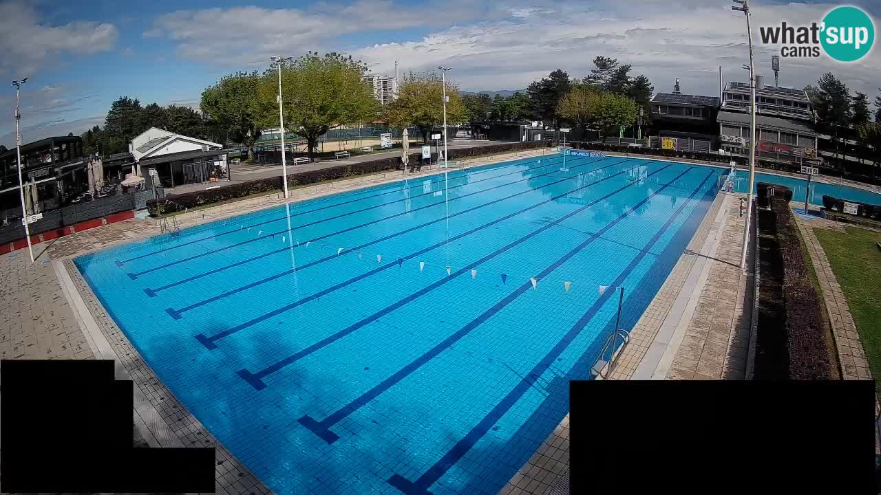 Webcam Celje – Main swimming pool