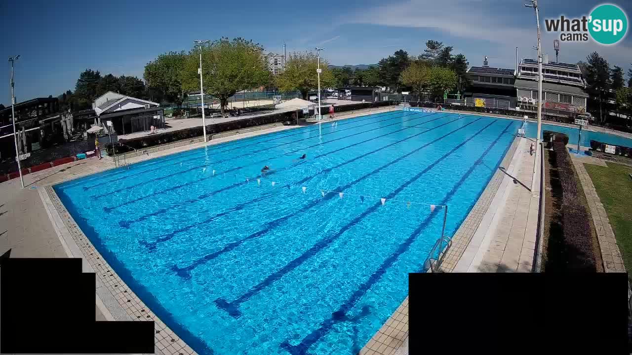 Webcam Celje – Piscine principale