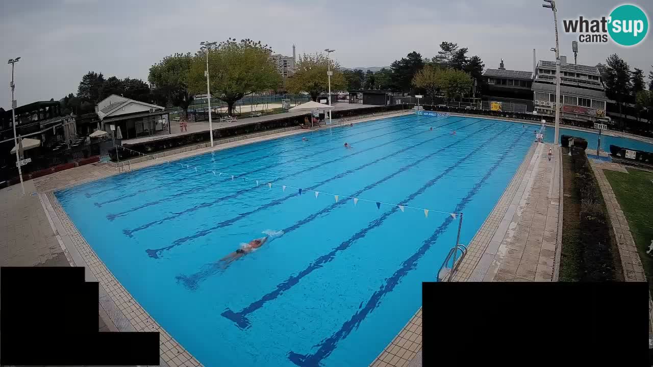 Webcam Celje – Main swimming pool