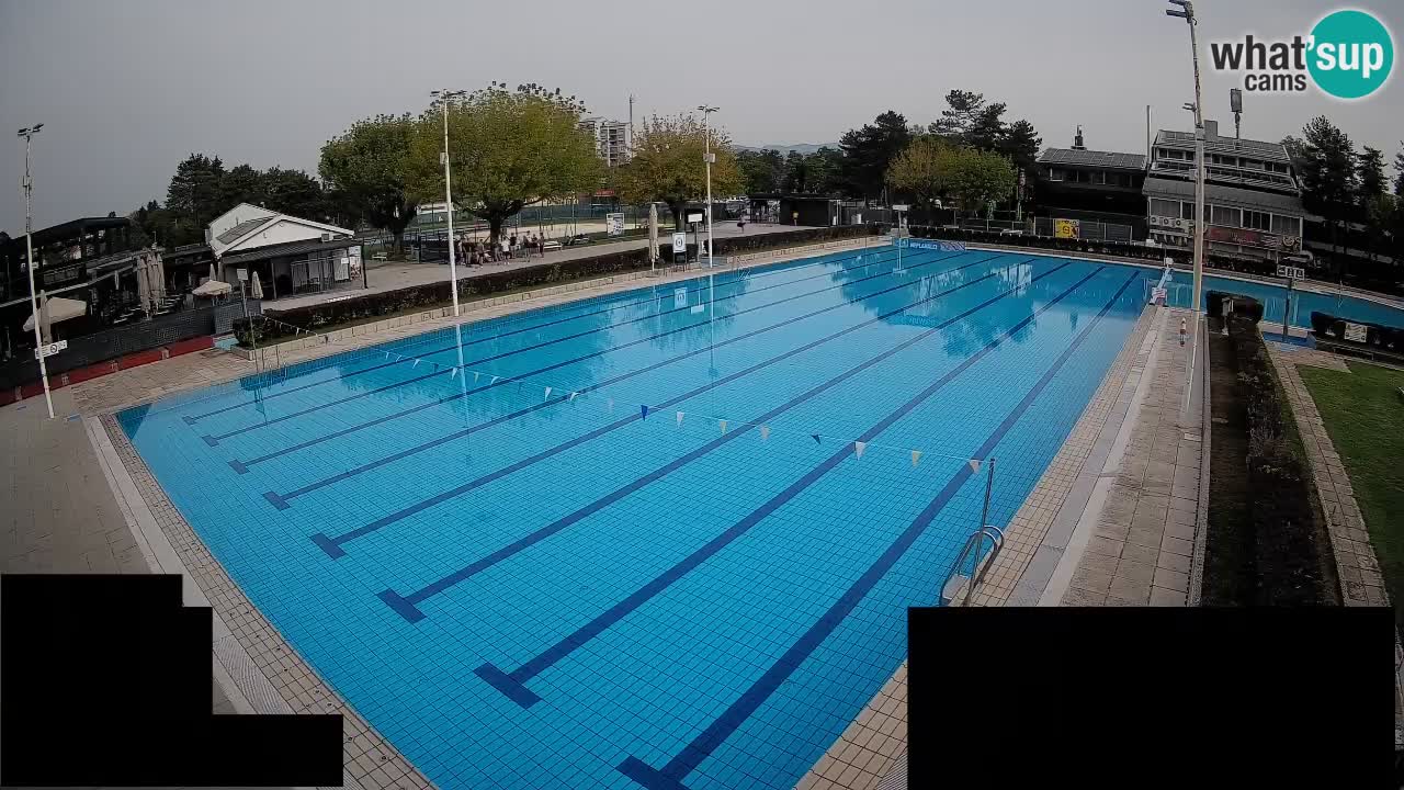 Webcam Celje – Main swimming pool