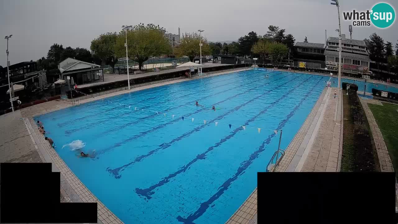 Webcam Celje – Main swimming pool