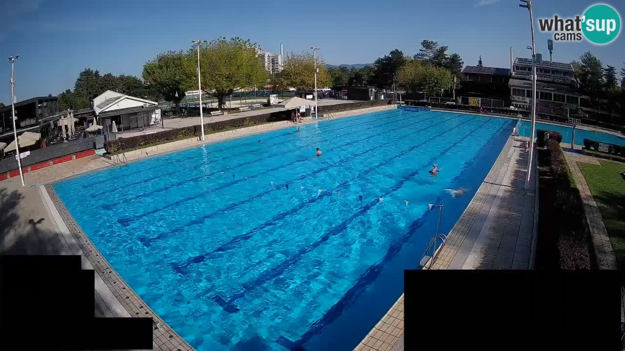 Webcam Celje – Main swimming pool