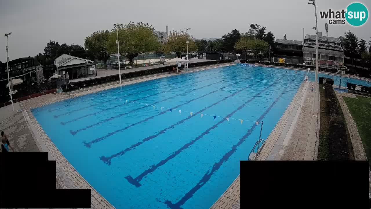 Webcam Celje – Main swimming pool